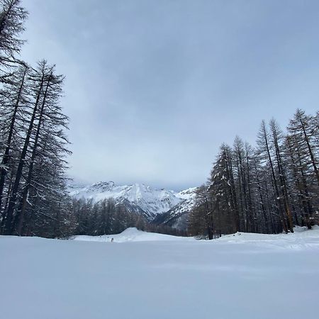 Les Granges D'Arvieux - Queyras - Appart 3Ch./6P. Extérieur photo